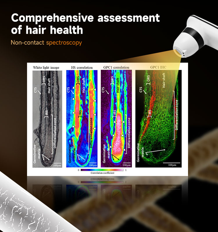 Comprehensive Assessment