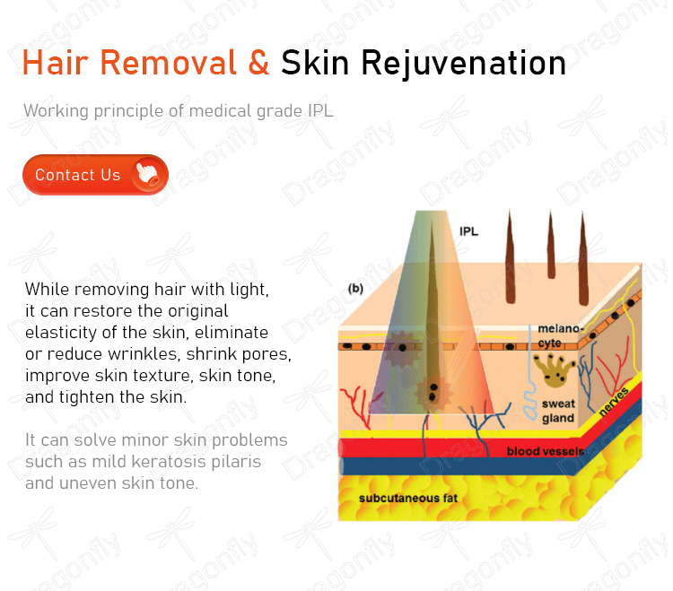 Skin Rejuvenation