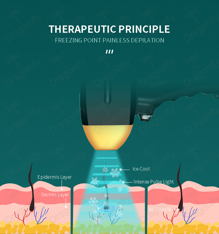 Treatment Principle