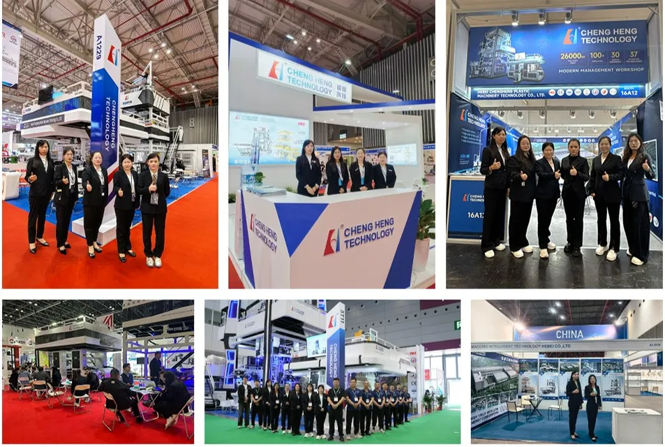 Participação em Exposições