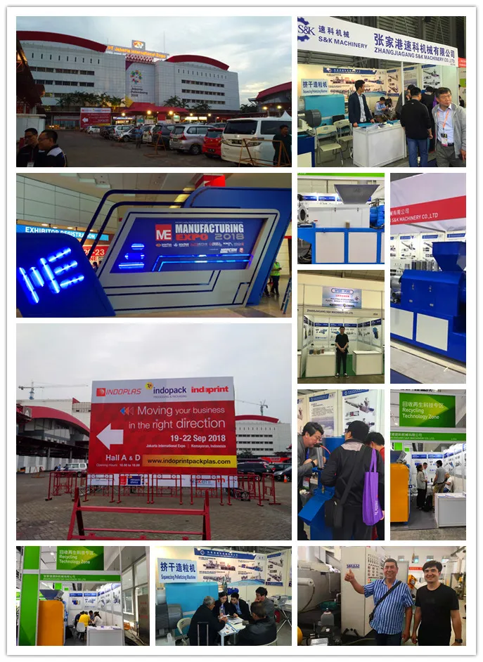 Exposição