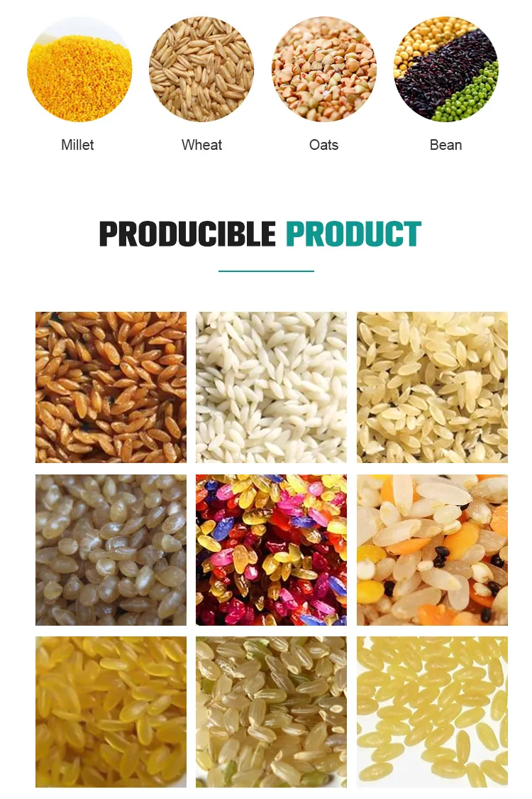 Reforçar Máquinas de Arroz Artificial de Proteína Saudável