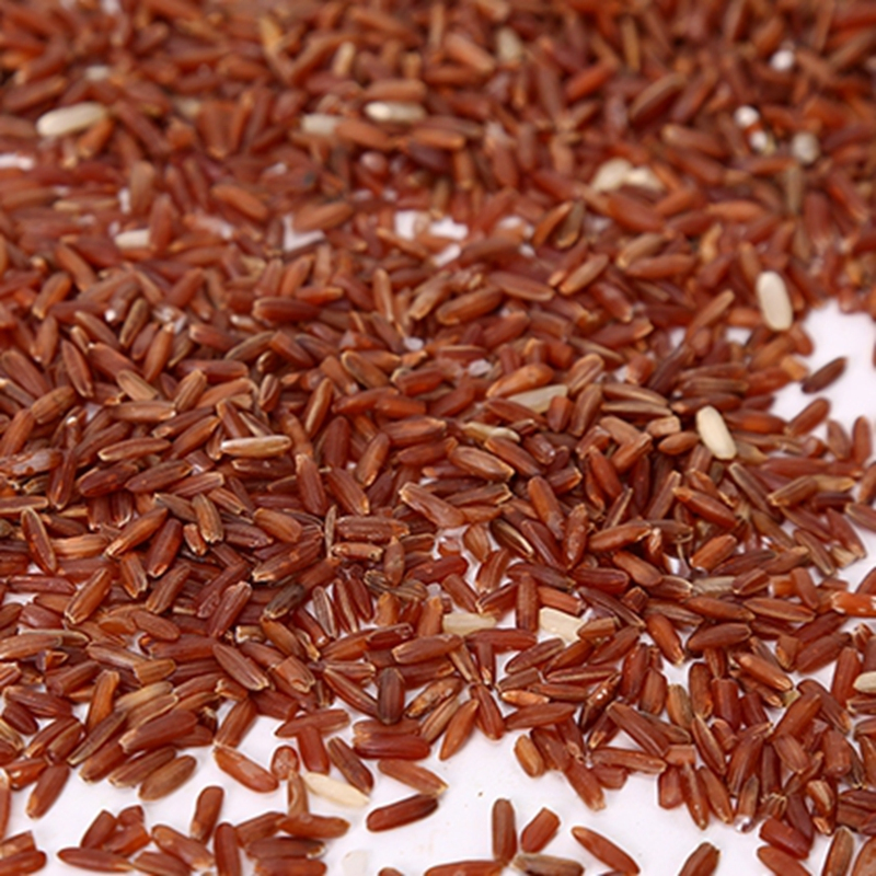 Reforçar Máquinas de Arroz Artificial de Proteína Saudável