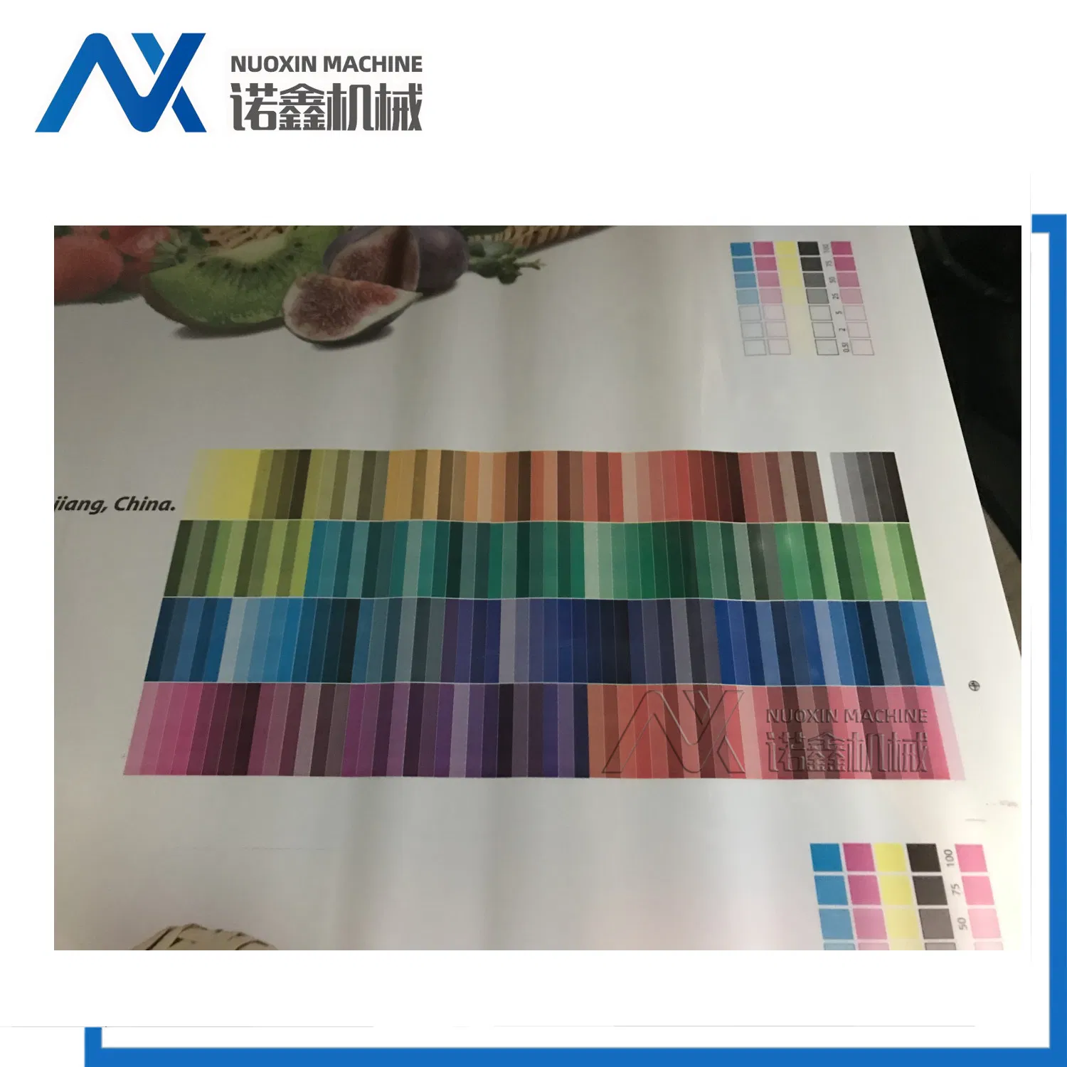 6 Máquina de Impressão Flexográfica Colorida Para PE/PP/HDPE LDPE/OPP