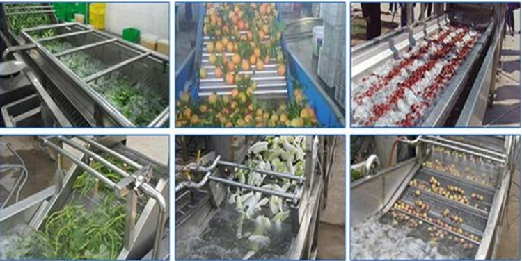 Máquina de linha de produção de frutas secas e processamento de vegetais desidratados de boa qualidade por atacado