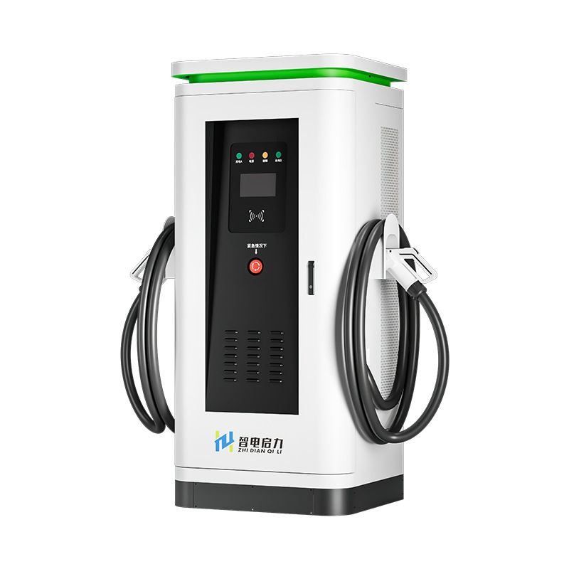 Public EV Charging Station with POS &amp; Remote Monitoring 160kw Charger