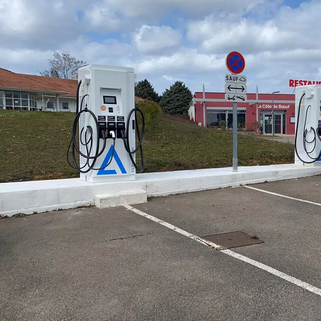 OEM Level3 Ocpp1.6 DC Fast Charger EV Charging Station