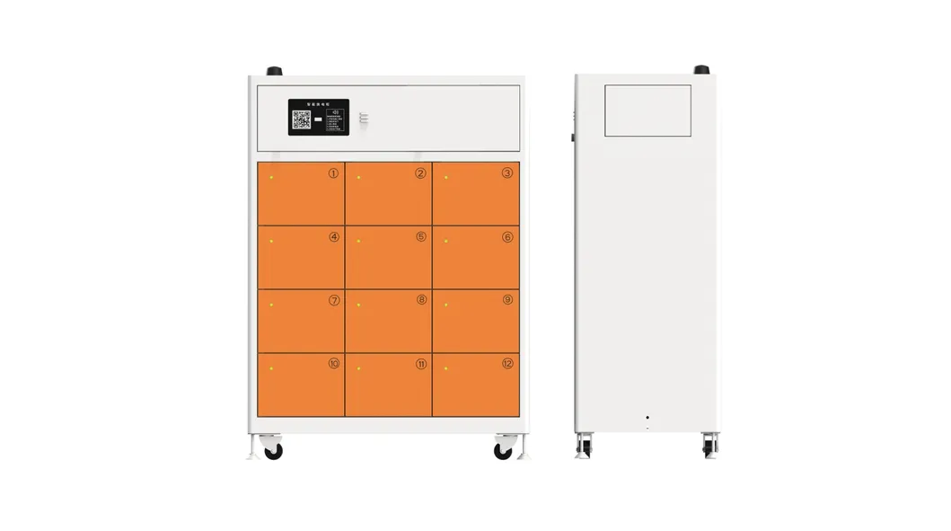 12-Compartment Cabinet