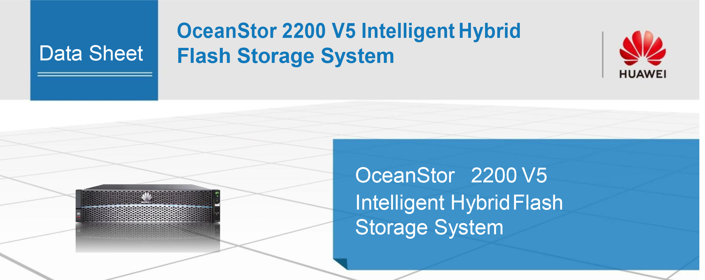 Hybrid Flash Storage System 2U SAS Disk