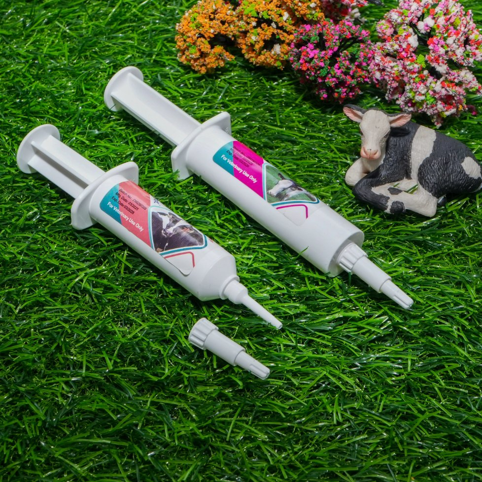 Florfenicol Intramammary Infusion Tubes for Lactating Cow