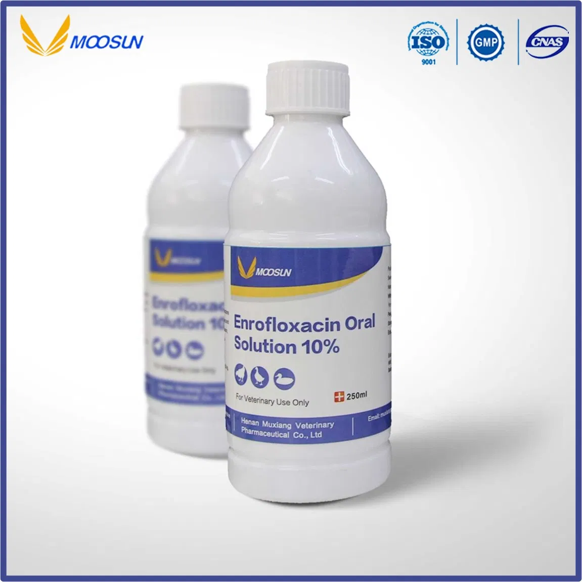 GMP ISO Factory Veterinary Medicine Ivermectin 1% Pour on Solution