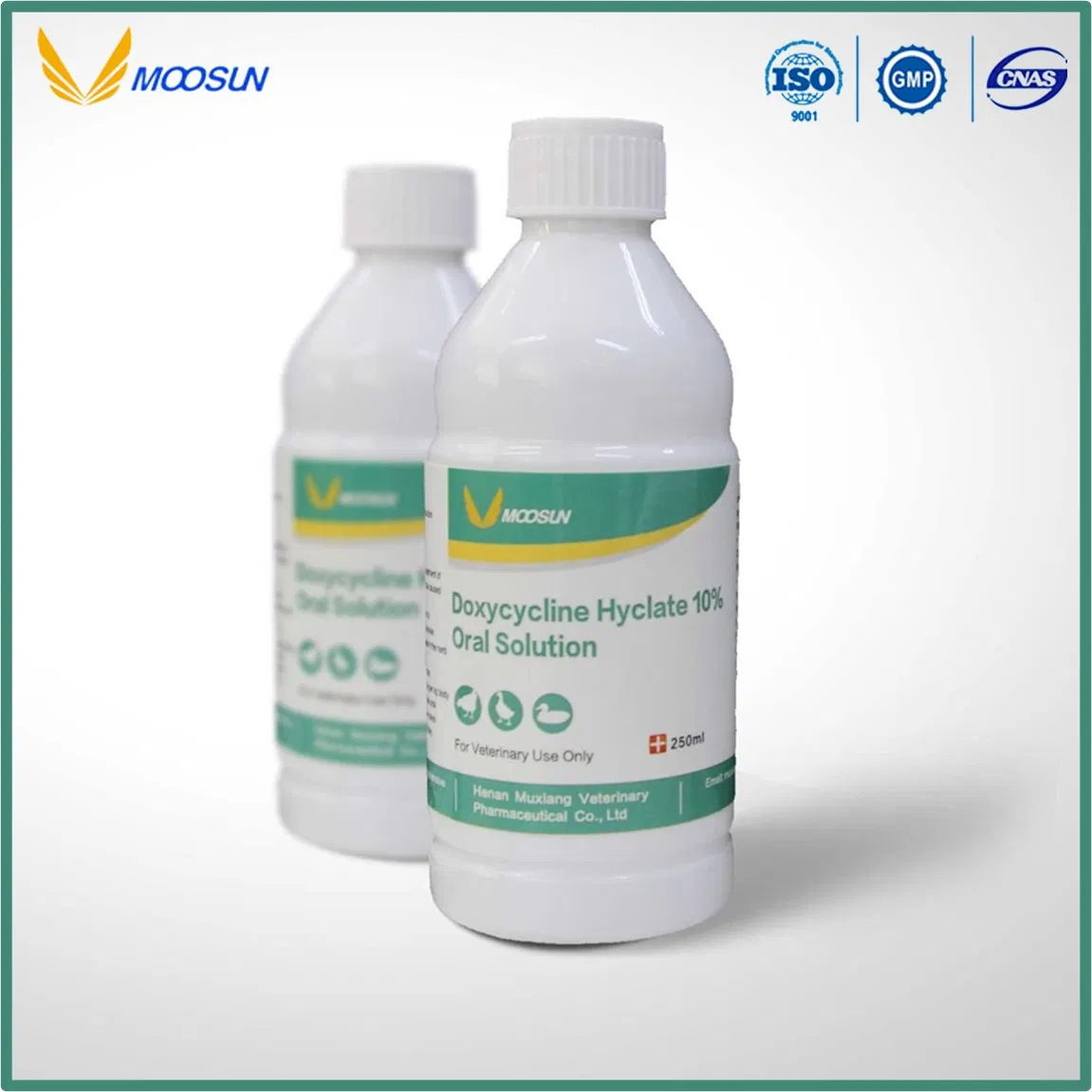GMP ISO Factory Veterinary Medicine Ivermectin 1% Pour on Solution