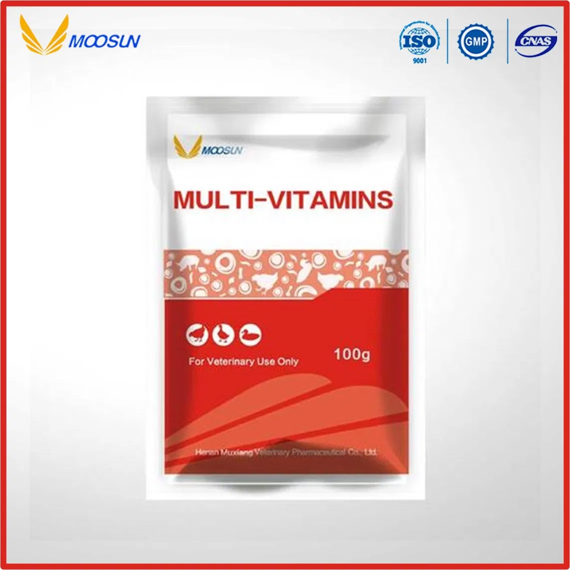 Veterinary Medicine Supply Nutrition Multi-Vitamins and Herbal Extracts for Poultry and Livestock