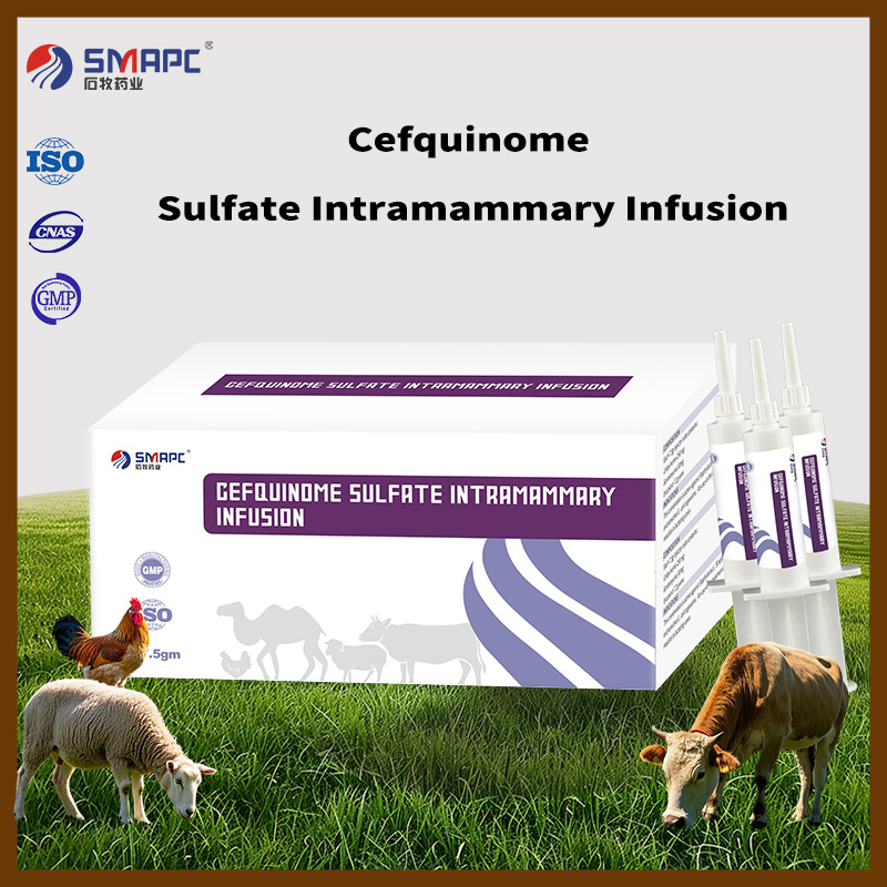 Cefquinome Sulfate Intramammary Infusion for Veterinary Use Only
