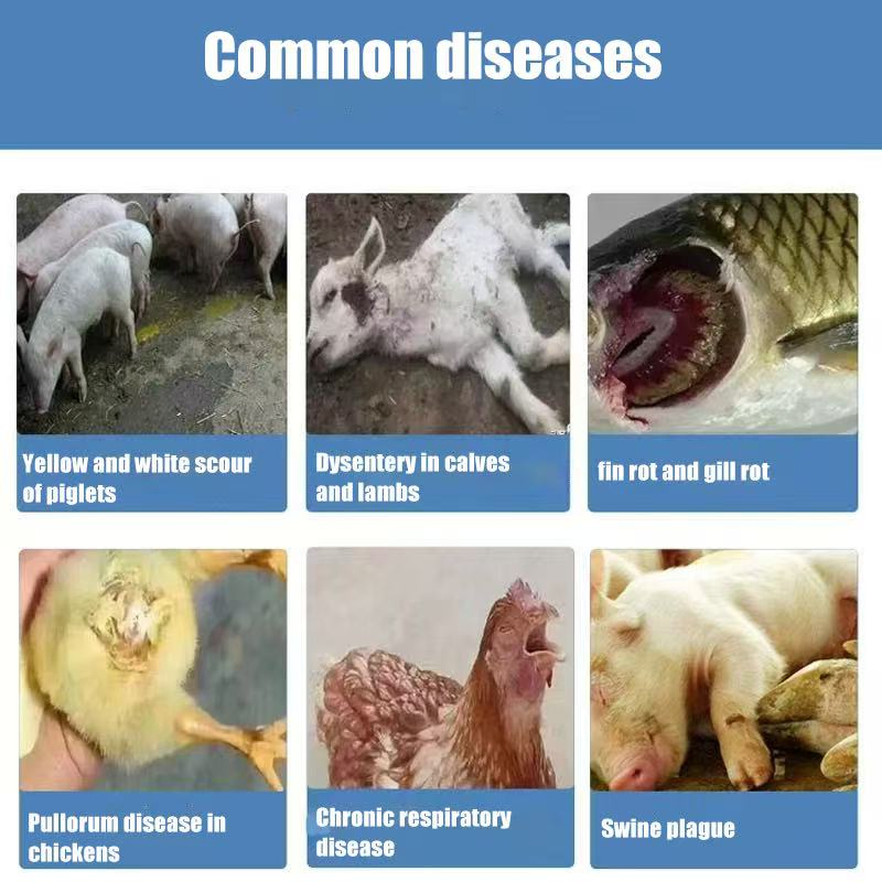 Doxycycline Hydrochloride Soluble Powder 50%