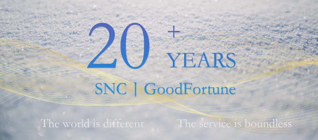 Lion's Mane Mushroom Extract