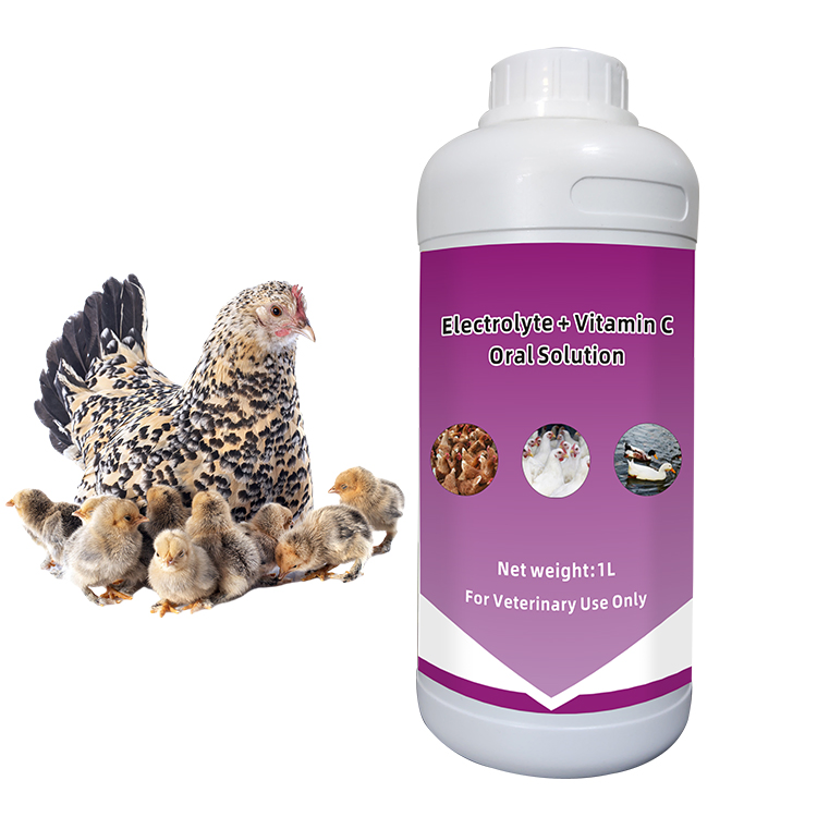Electrolyte + Vc Oral Solution. Vitamins C Loquid Vitamins Liquid Poultry Liquid