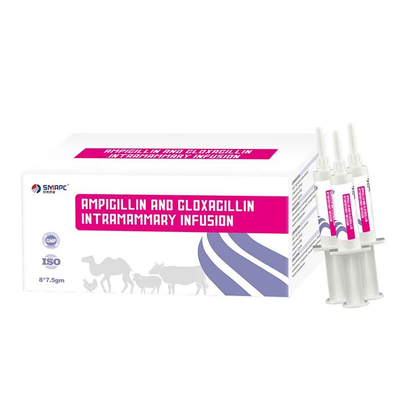 Veterinary Medicine Ampicillin and Cloxacillin Intramammary Infusion for Dry Cows - Mastitis Prevention