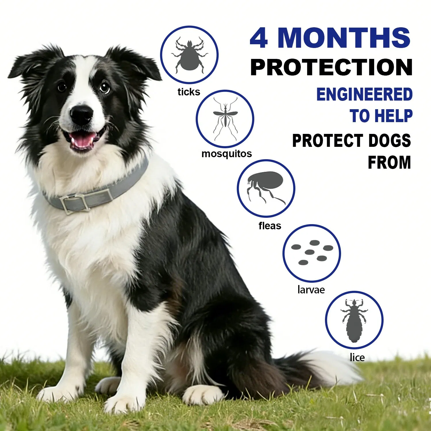 Waterproof Essential Oil Tick &amp; Flea Collar for Medium Dogs, 4-Month Long-Lasting Protection, Adjustable Outdoor Flea Control Collar