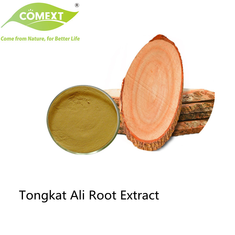 Comext Factory Natural Plant Extracts Tongkat Ali Root Herbal Medicine