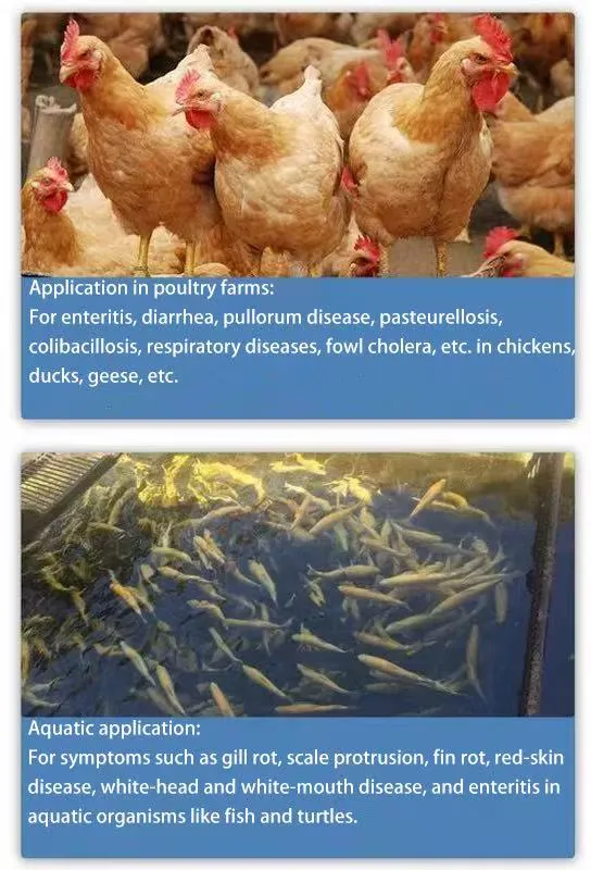 Doxycycline Hyclate 3