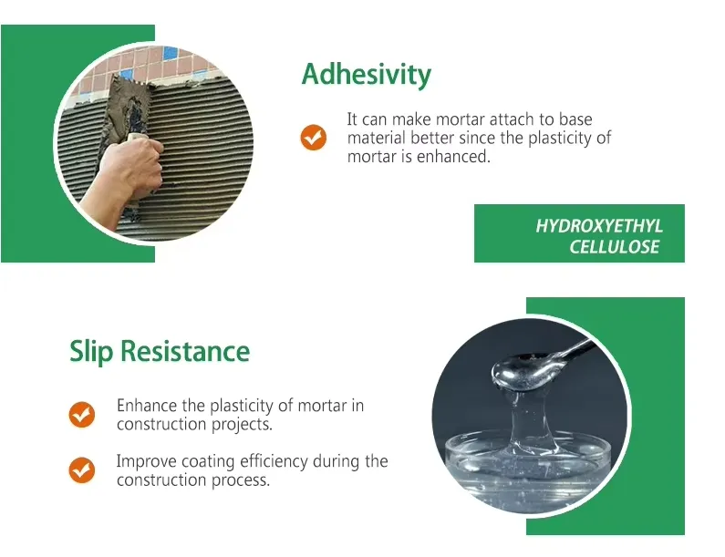 Application Detail 2