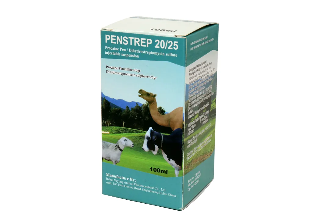 Injectable Suspension