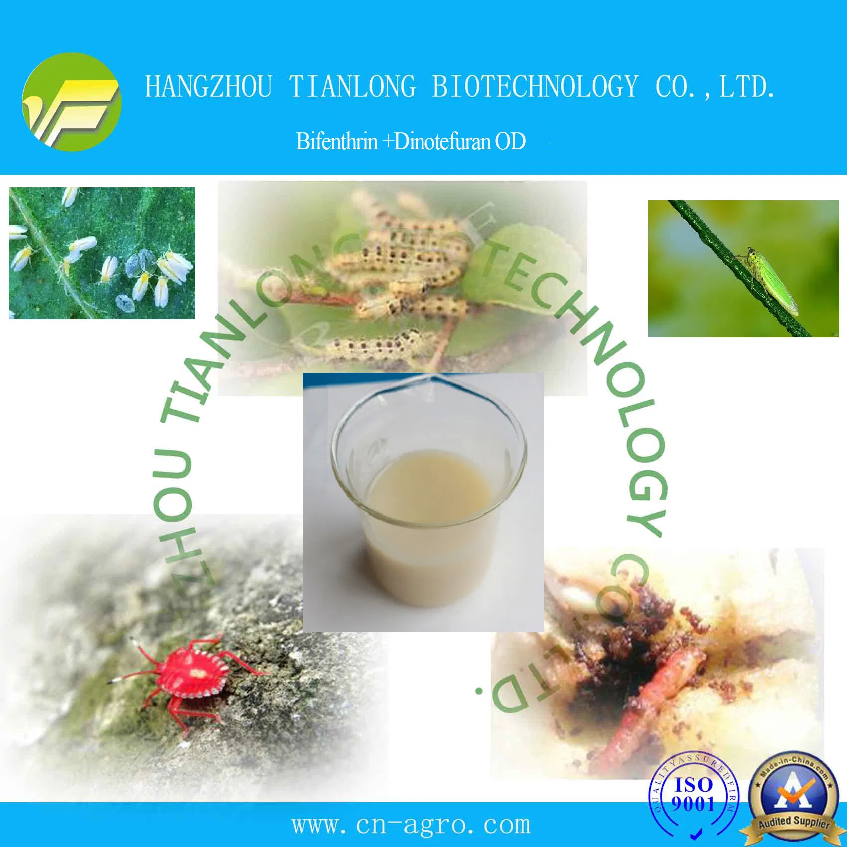 Bifenthrin 6%+Dinotefuran 9%OD-Bifenthrin +Dinotefuran(6%+ 9%) Insecticide Mixture