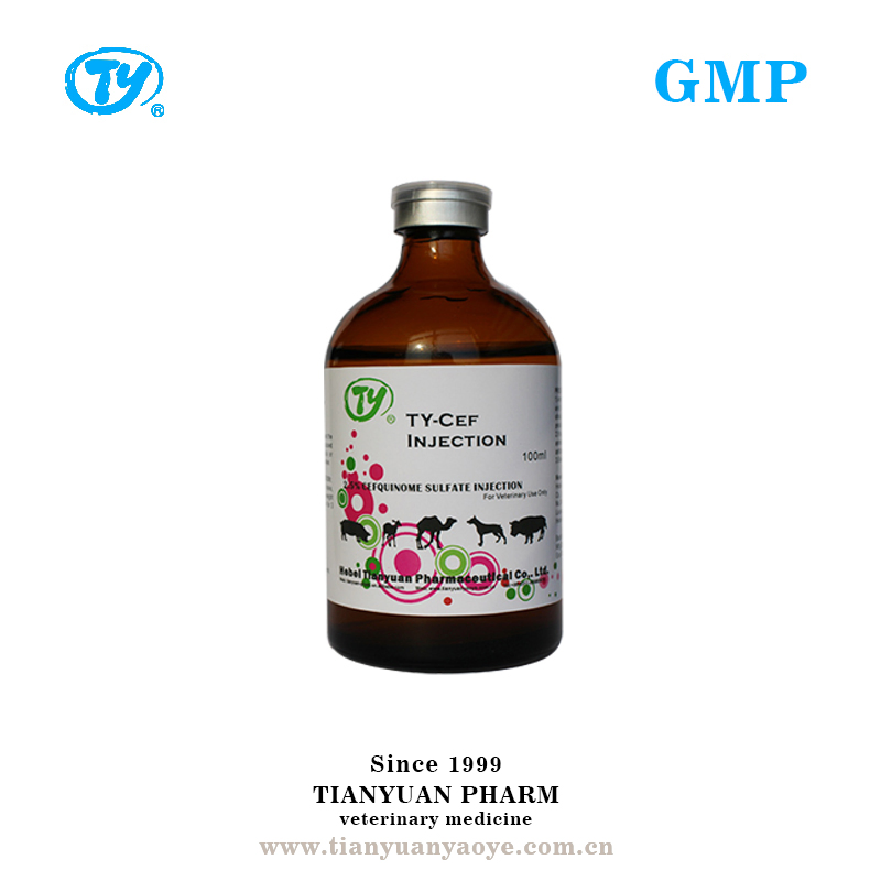 Veterinary Product Factory Price Cefquinome Sulfate Injectable Suspension 2.5%
