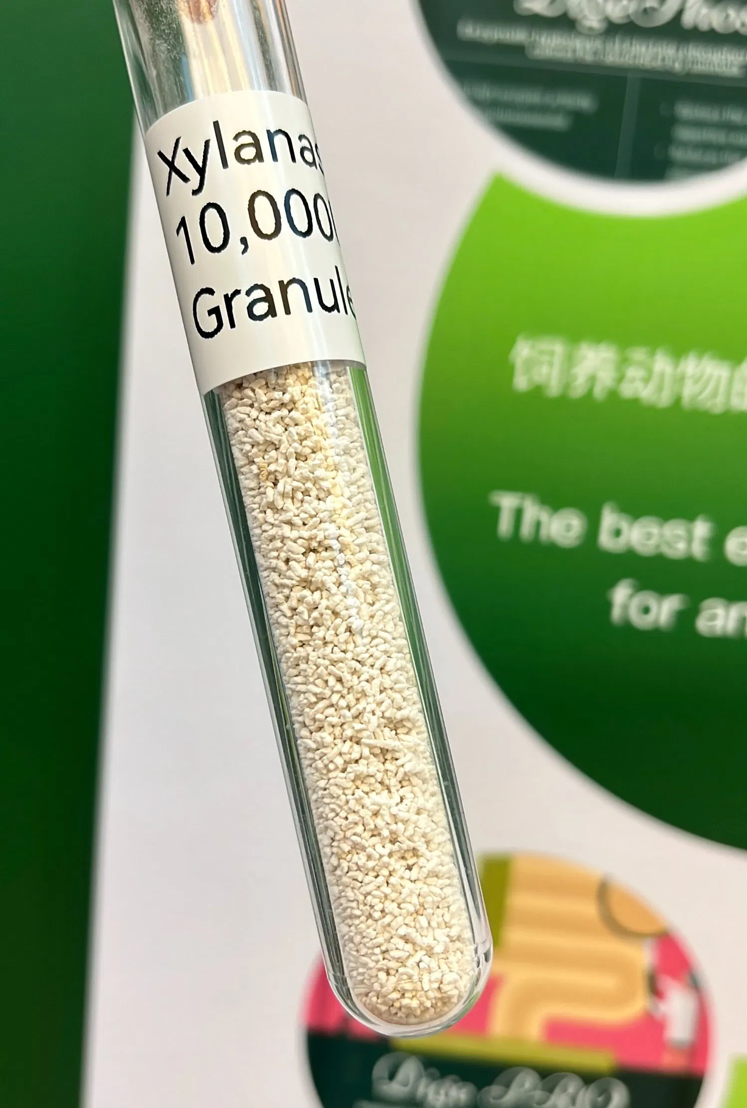 Xylanse 10, 000u/G Granule Single Enzyme Price Arabinoxylan Animal Nutrition Strong Acid Resistance CAS No.: 9025-57-4, Granules, Liquid, Soluble Powder