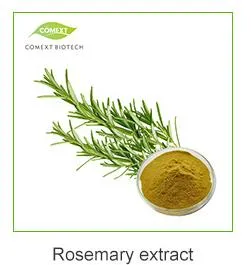 Rosemary Extract