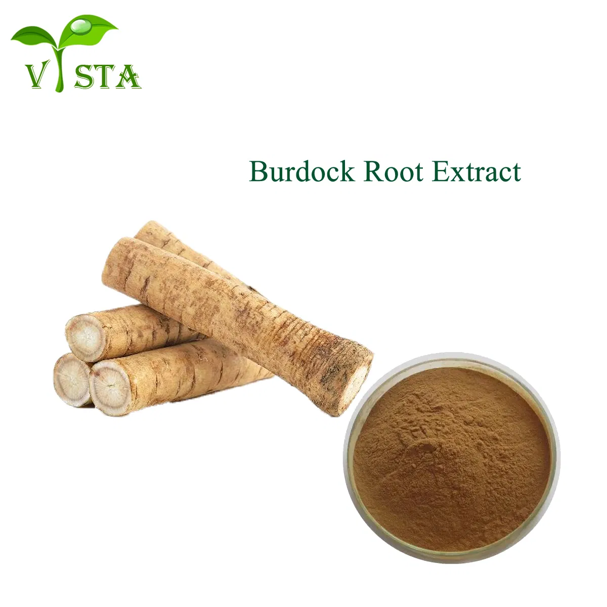High Quality Traditional Chinese Medicine Herbal Extract Arctium Lappa Burdock Root Extract