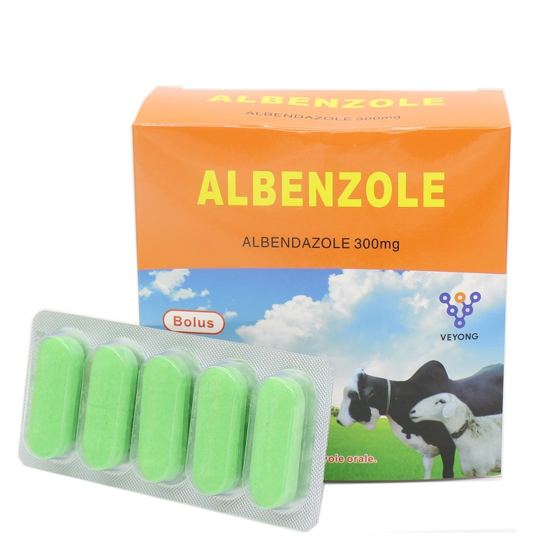 Hot Selling Pharmaceutical Grade Albendazole Oral Solution with Best Price
