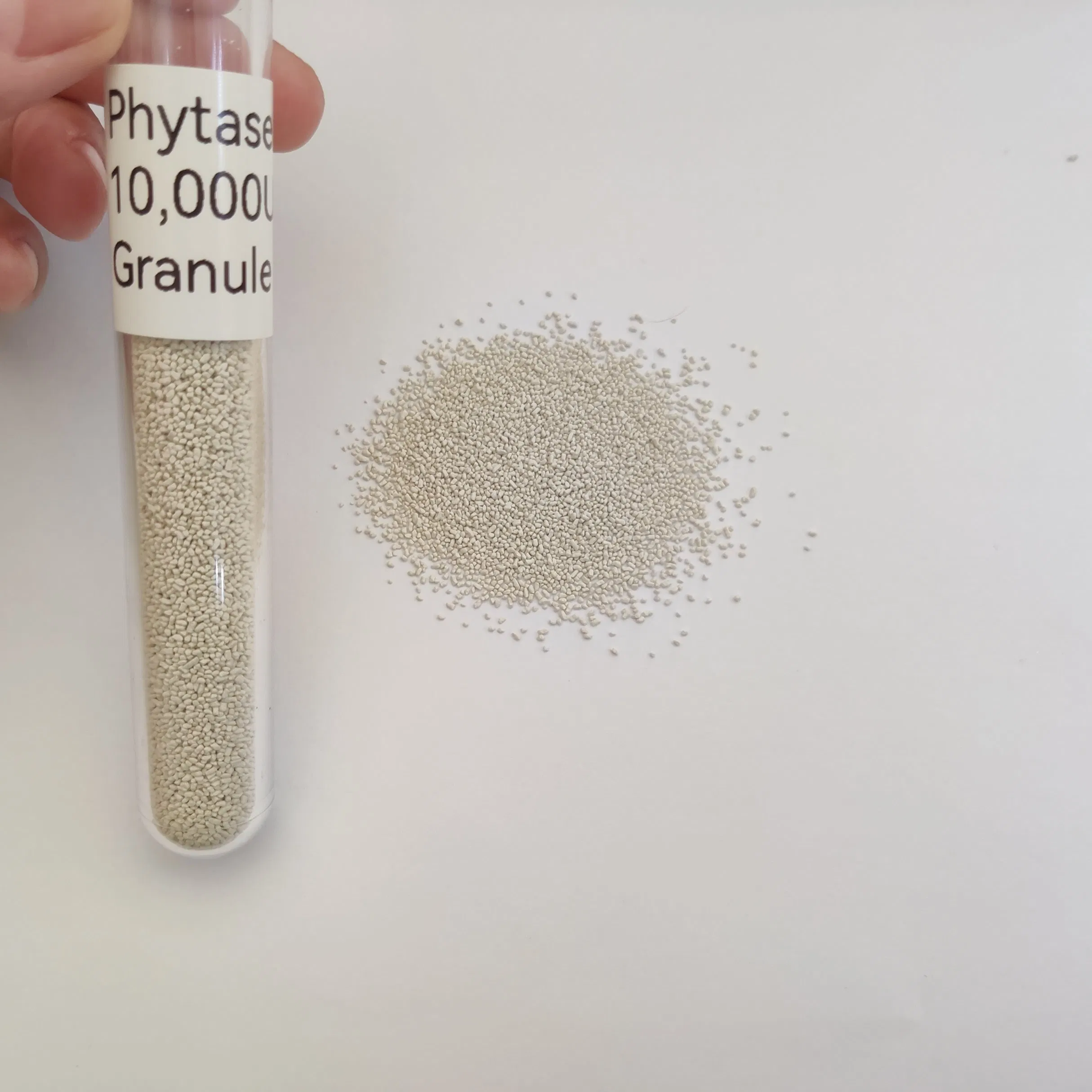 High Quality Feed Additives Phytase Enzyme Granule for Feed Mill 5, 000-50, 000u/G