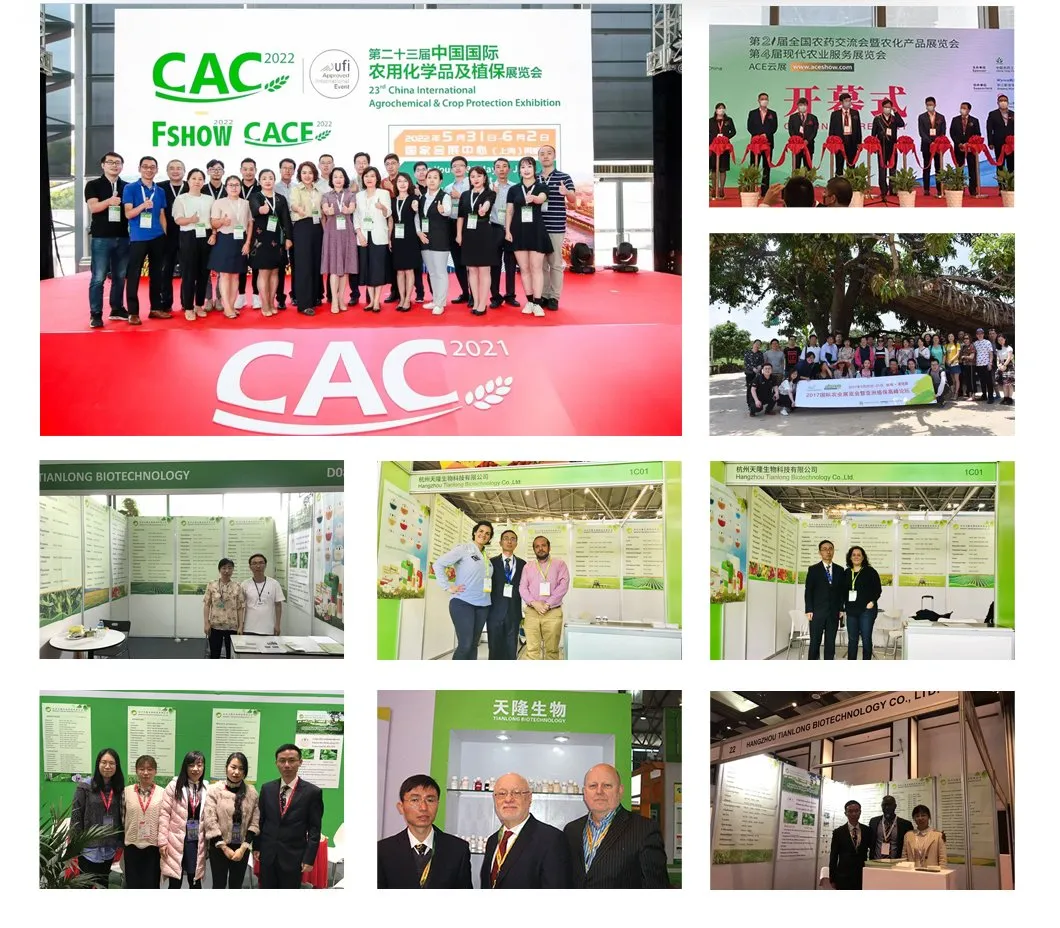 Insecticide Mixture 4