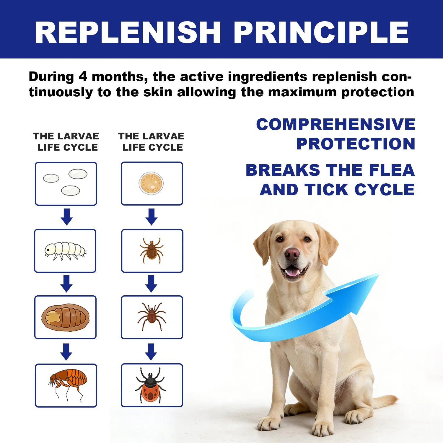 Waterproof Essential Oil Tick &amp; Flea Collar for Medium Dogs, 4-Month Long-Lasting Protection, Adjustable Outdoor Flea Control Collar