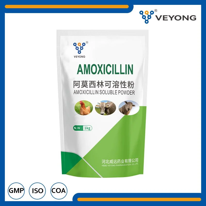 Mixing with Water Amoxicillin Soluble Powder for Veterinary Use Amoxicillin Trihydrate Powder for Chicken Cattle Cow Sheep