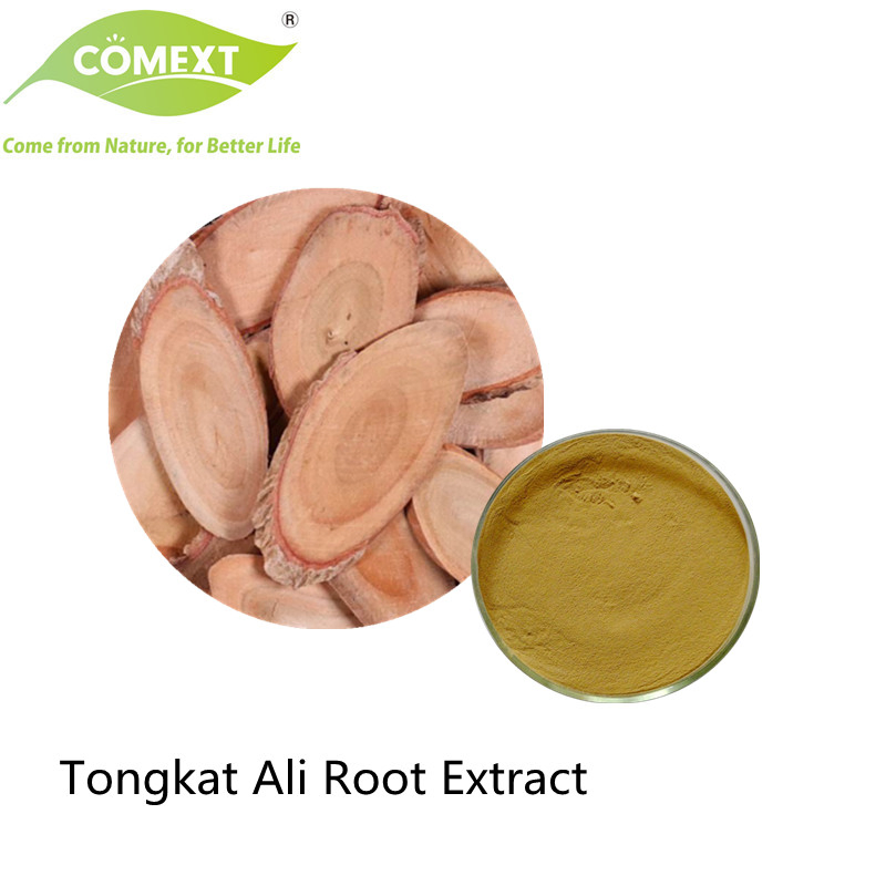 Comext Factory Natural Plant Extracts Tongkat Ali Root Herbal Medicine
