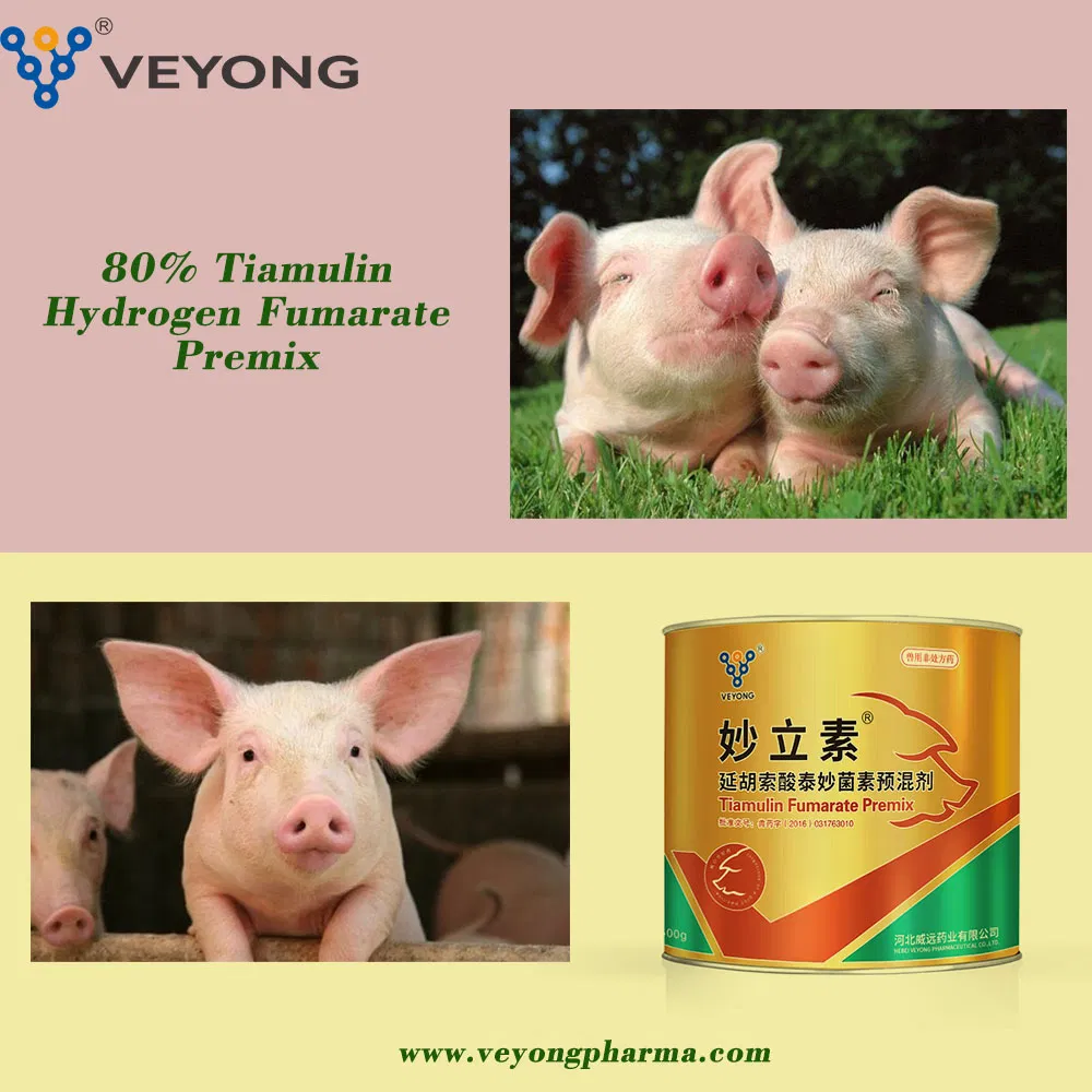 Factory Supply Tiamulin Hydrogen Fumarate 80% Premix