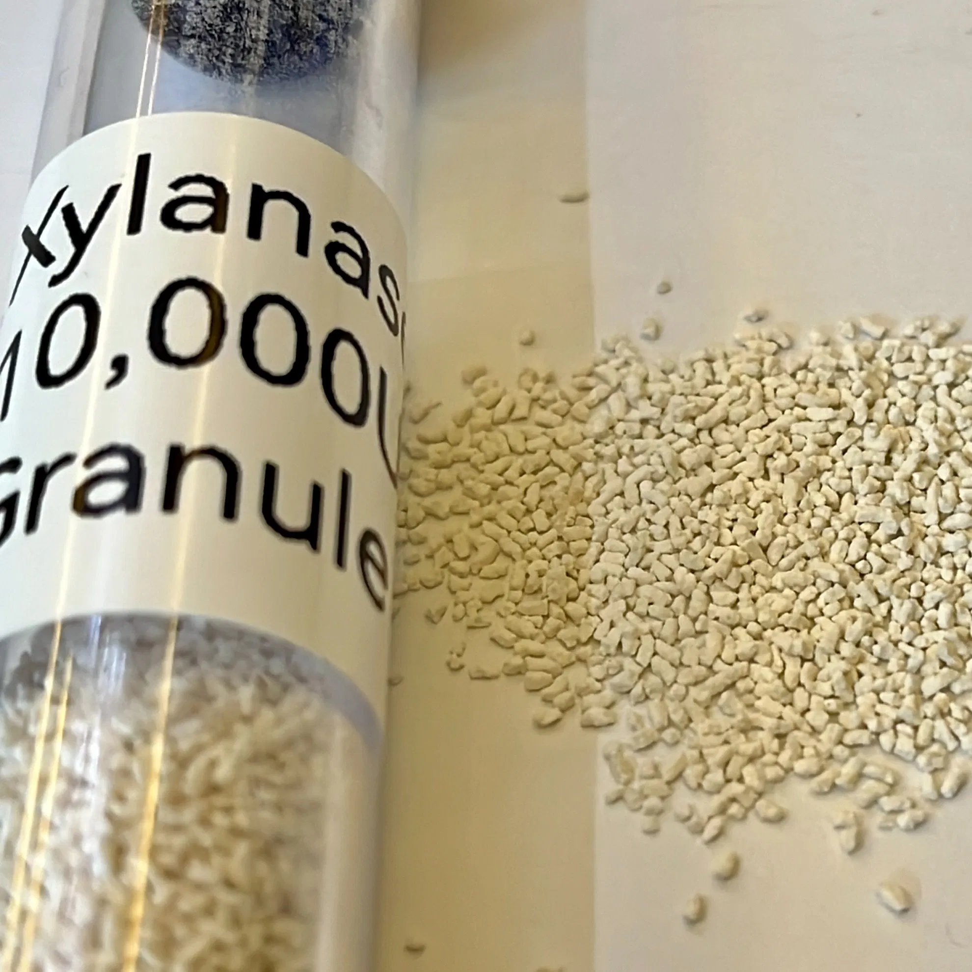 Xylanse 10, 000u/G Granule Single Enzyme Price Arabinoxylan Animal Nutrition Strong Acid Resistance CAS No.: 9025-57-4, Granules, Liquid, Soluble Powder