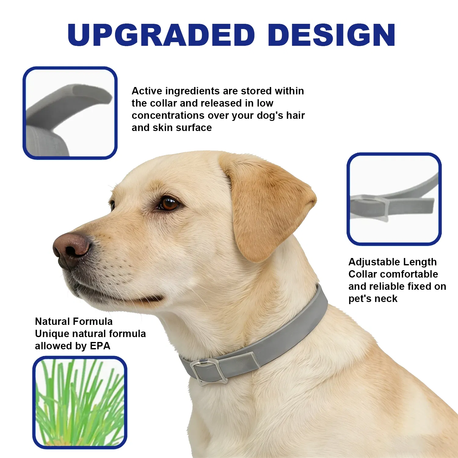 Flea Collar Detail 4