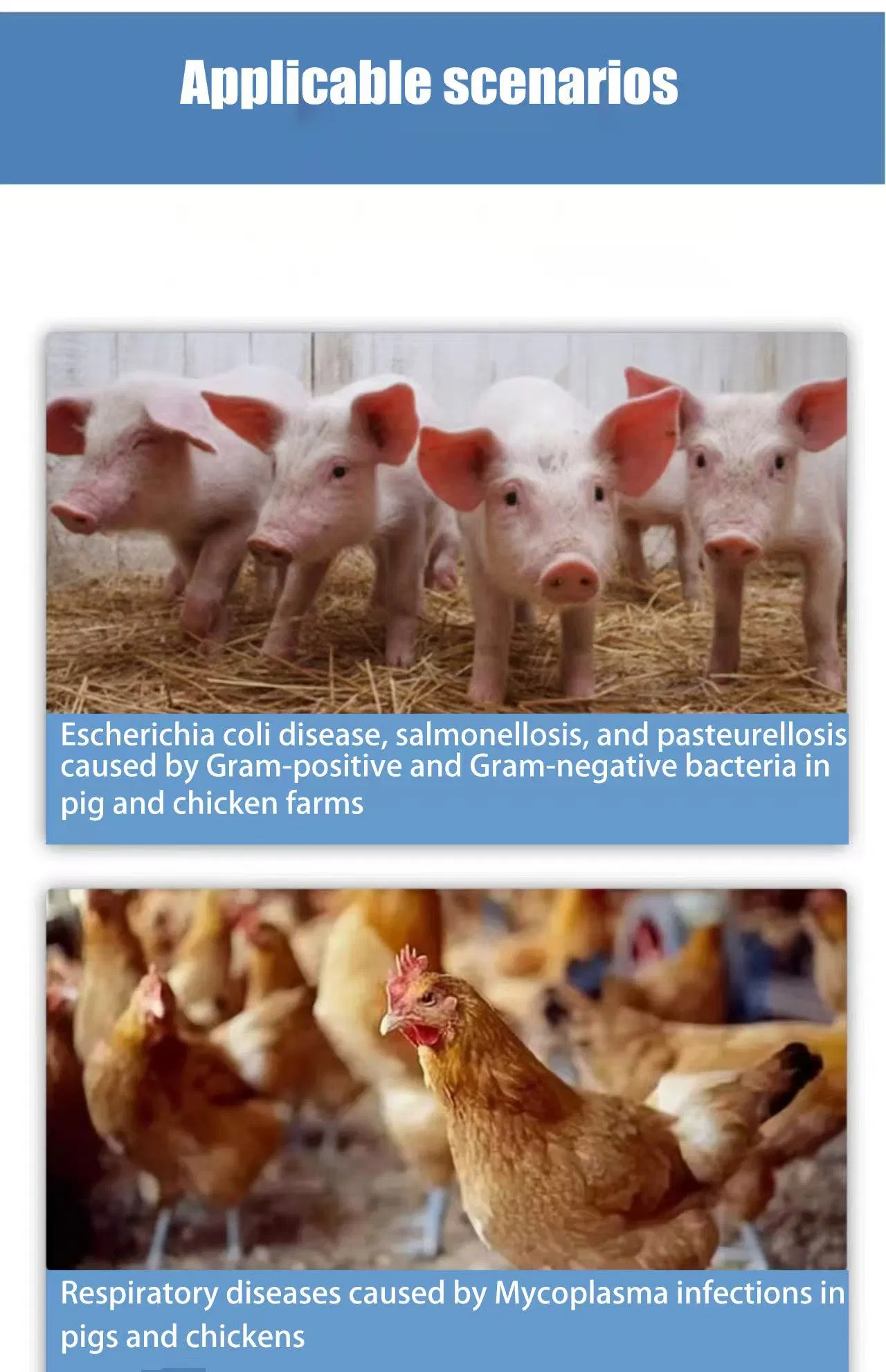 Doxycycline Hydrochloride Soluble Powder 50%