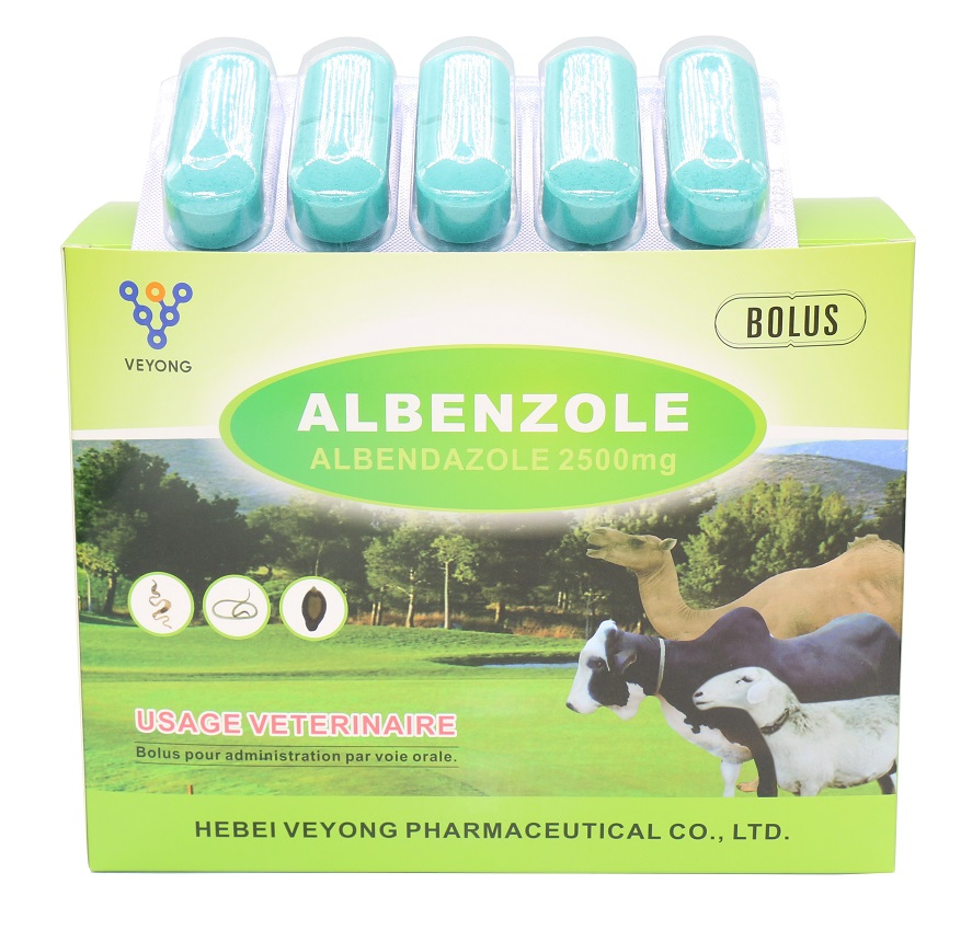 Premix Feed Wholesale 20% Albendazole Granule for Veterinary Use From Hebei Veyong China Factories