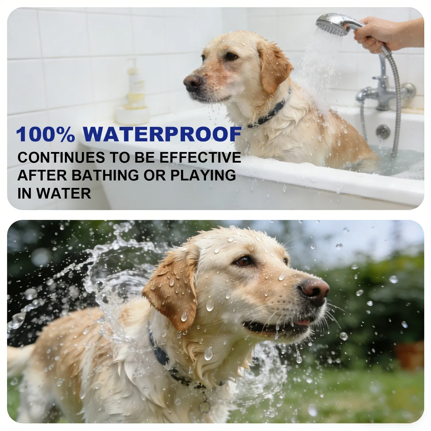 Flea Collar Detail 6