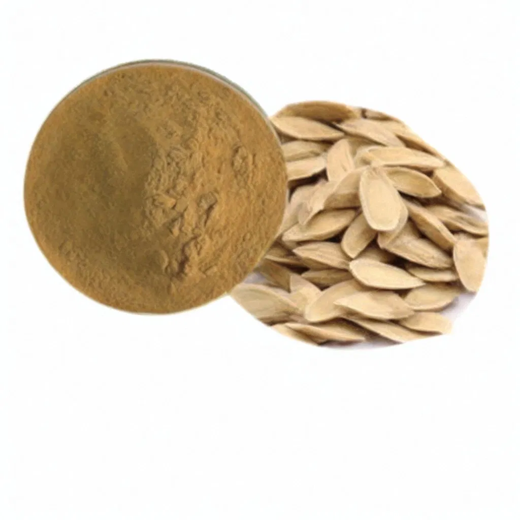 Hight Quality Astragalus Root Extract Astragalus Traditional Chinese Herbal Medicine Slices Astragalus Herbal Extracts