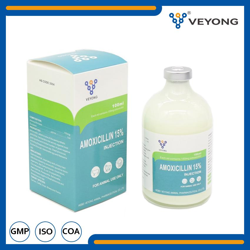 Veterinary Medicine Antibiotic 15% Amoxicillin Injection Suspension GMP Certificate for Cattle Sheep Drugs