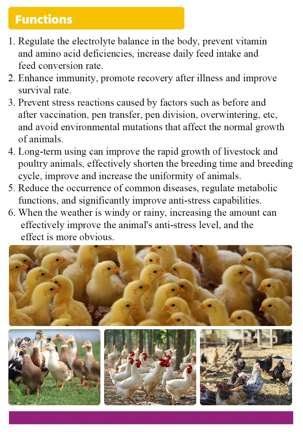 Electrolyte + Vc Oral Solution. Vitamins C Loquid Vitamins Liquid Poultry Liquid