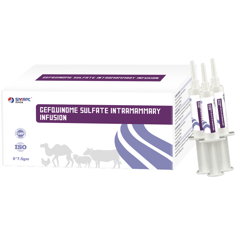 Veterinary Medicine Ampicillin and Cloxacillin Intramammary Infusion by GMP ISO Manufacturer
