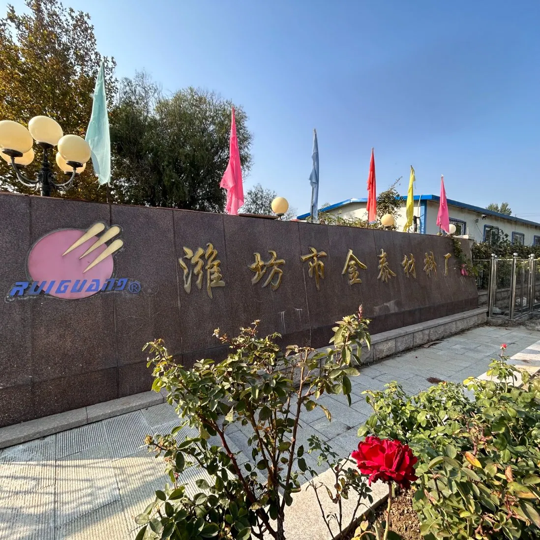 High-Performance Anti-Fungal Additives for Smooth Wall Paint Application