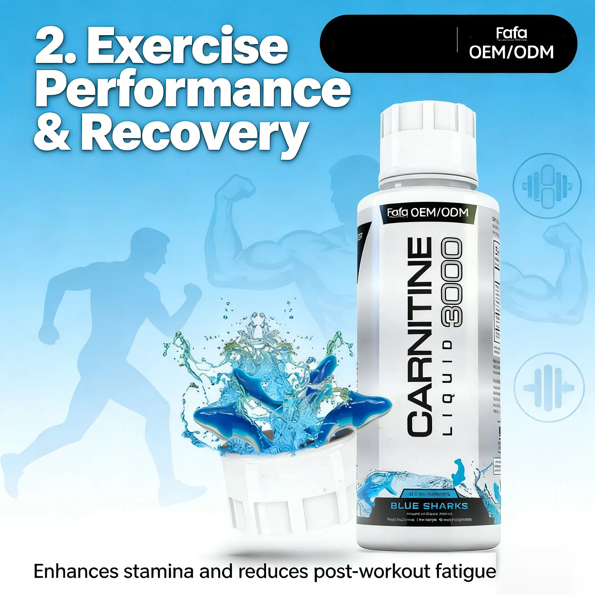 Vitamin Support Drops: L-Carnitine and Herbal Extract Oral Liquid